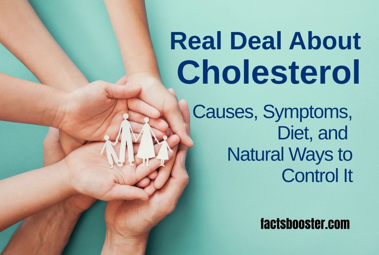Real Deal About Cholesterol